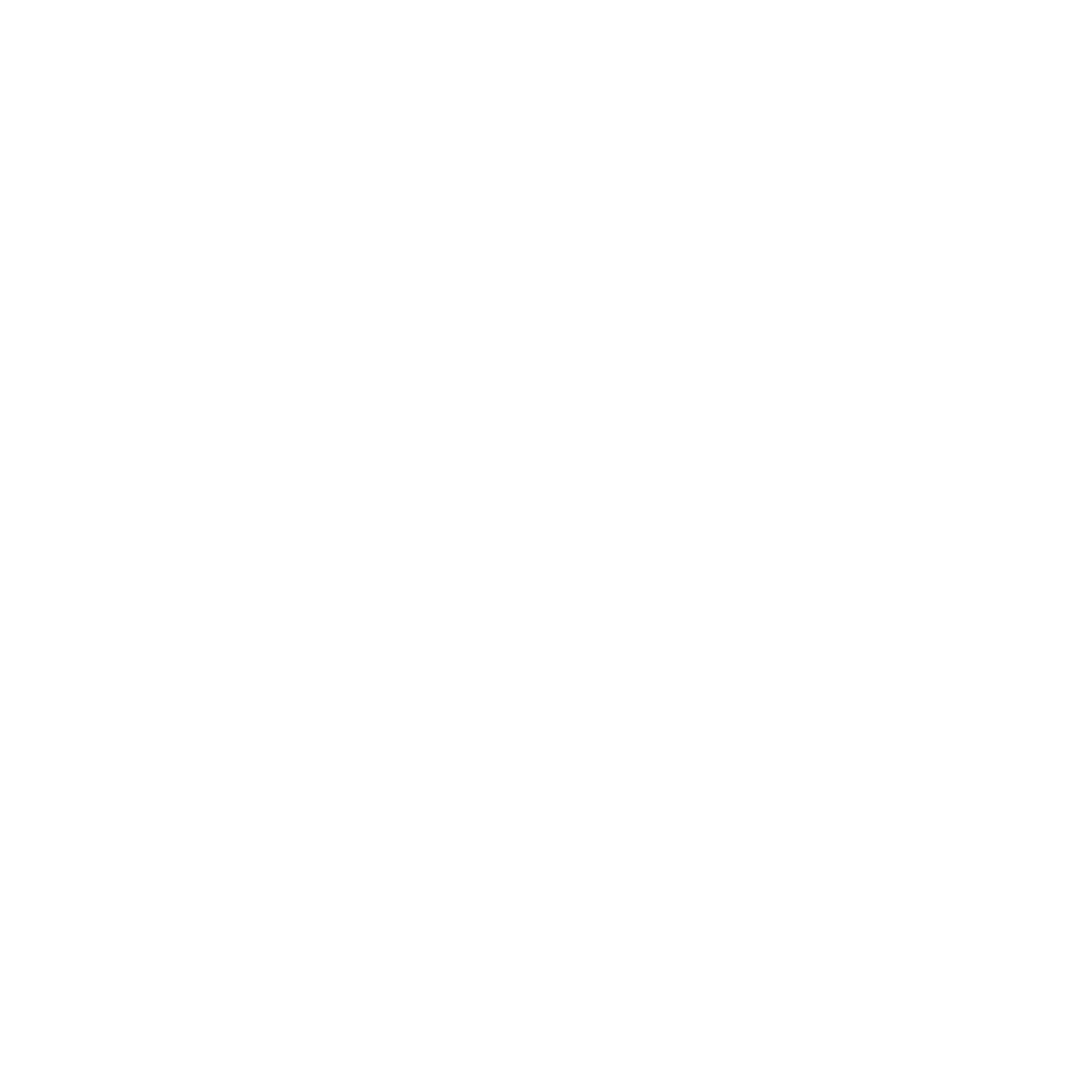 Raani Holdings Background